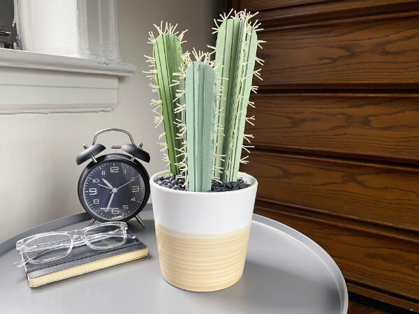 3D Cardboard Cactus Houseplant Craft Template For Kids