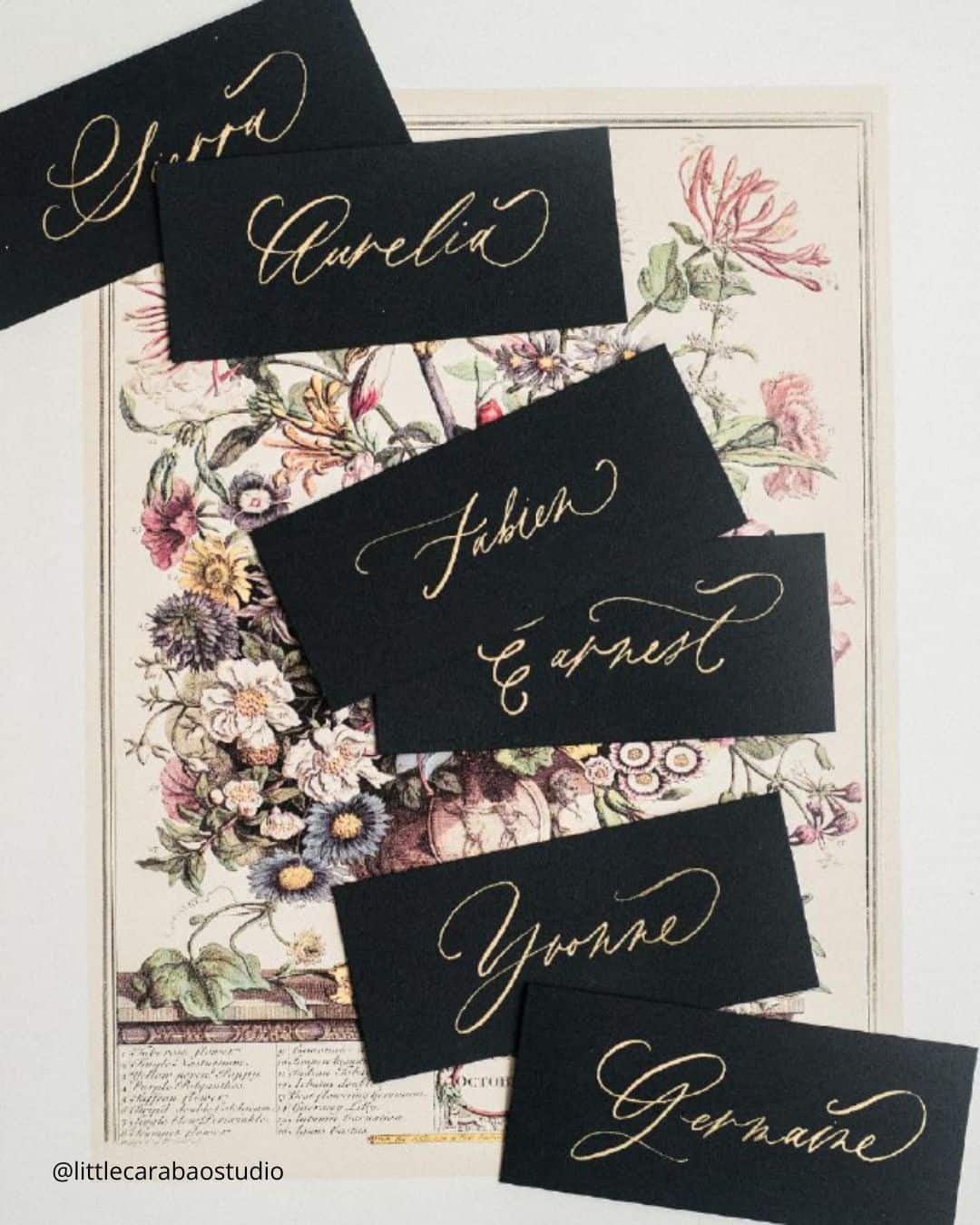 Dried Flowers and Pressed Leaves