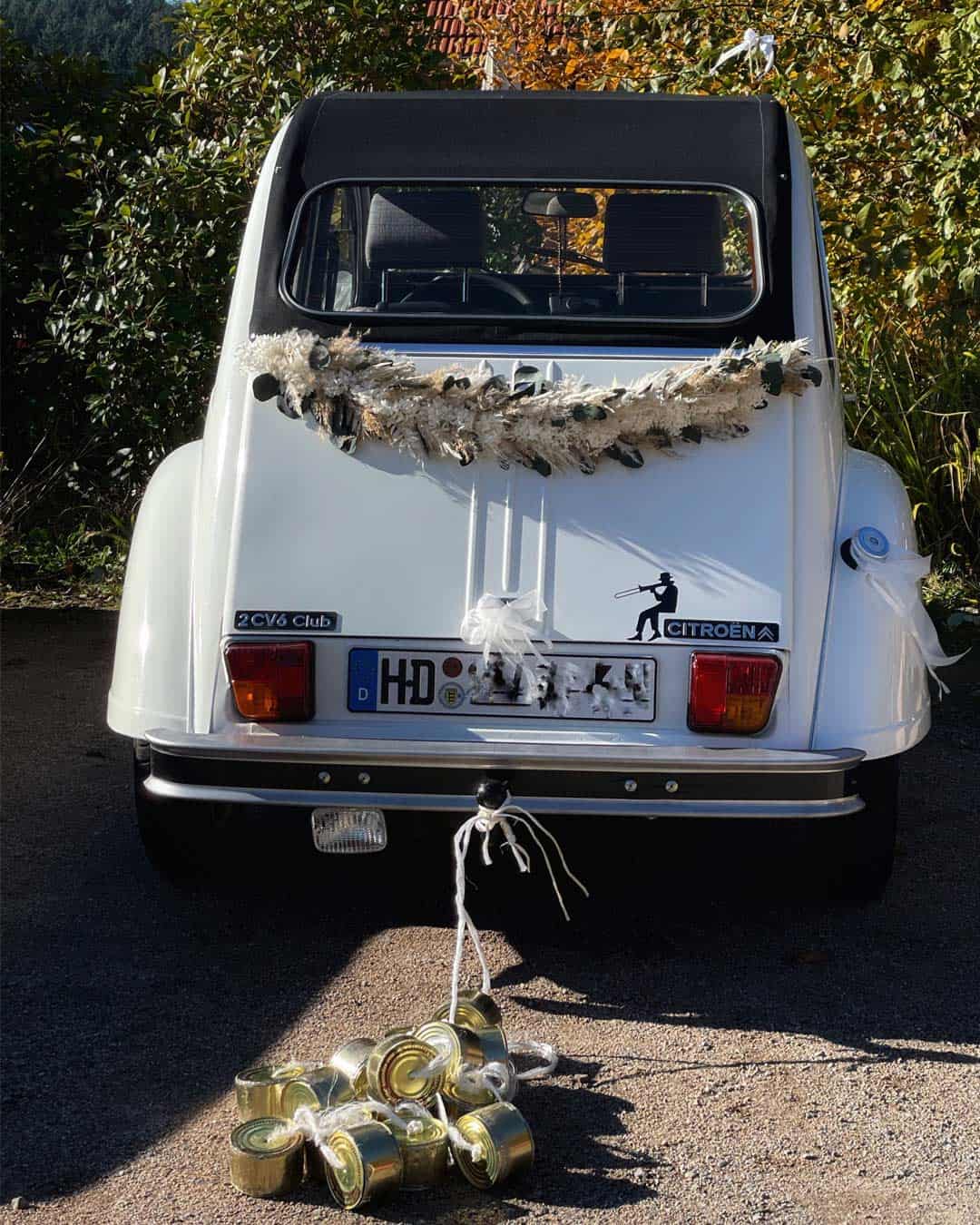 Funny Ideas For Car Decorating