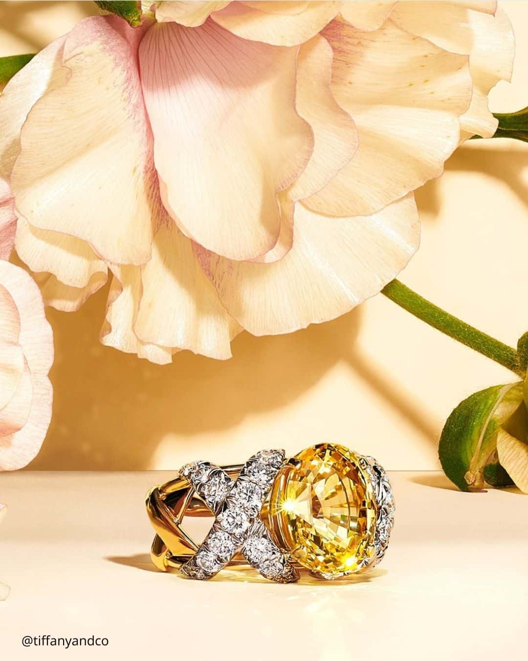 Sapphire Rings