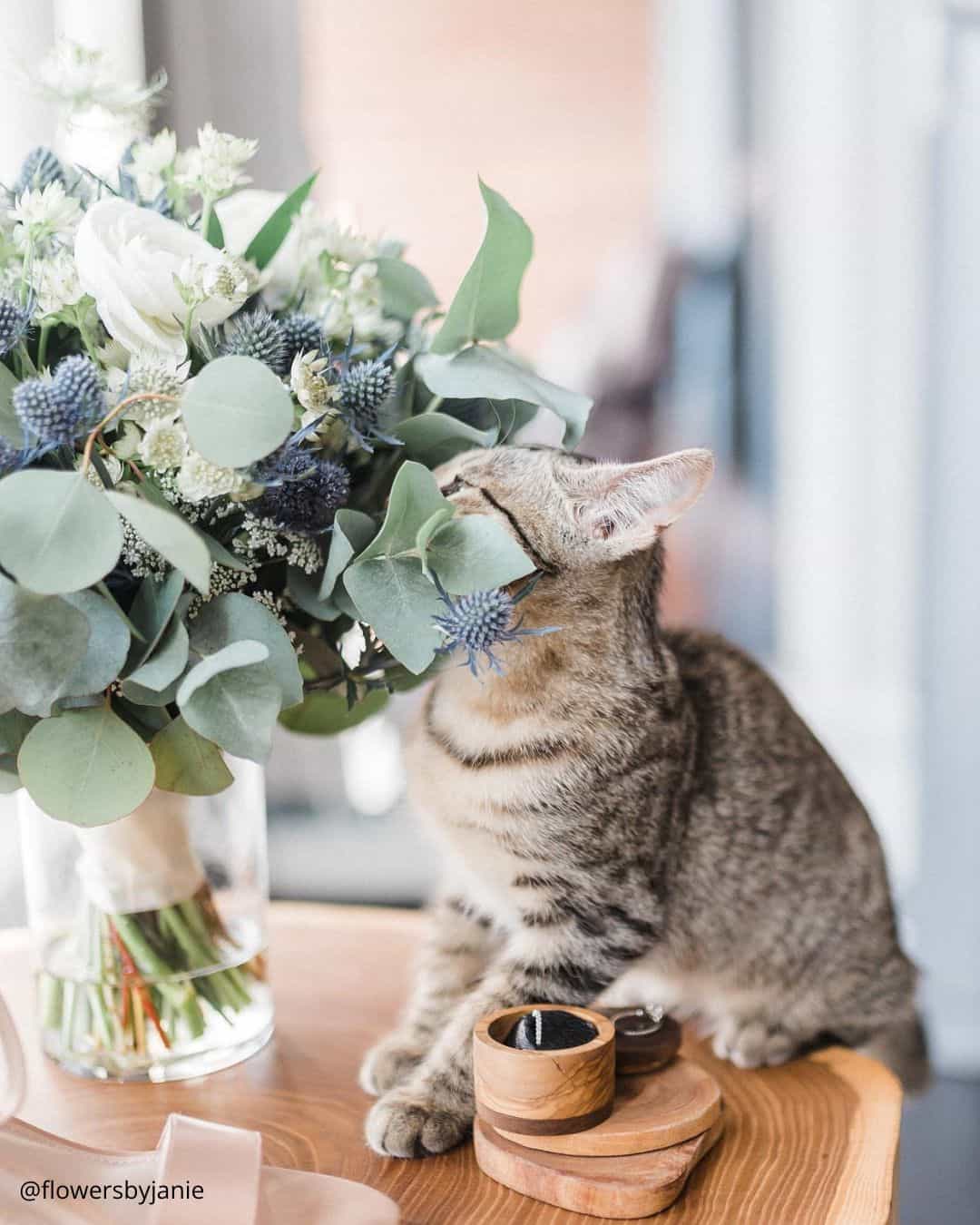 Wedding Table Decor Ideas With Greenery