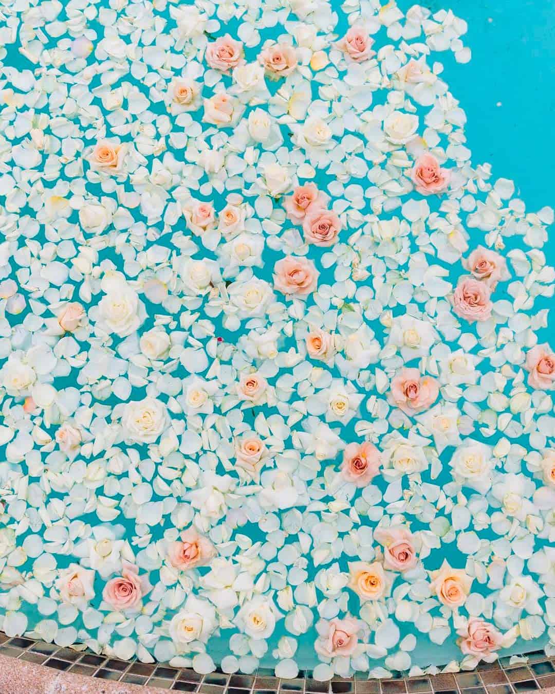 Swimming Pool Wedding Décor With Flower Petals and Flowers Floating