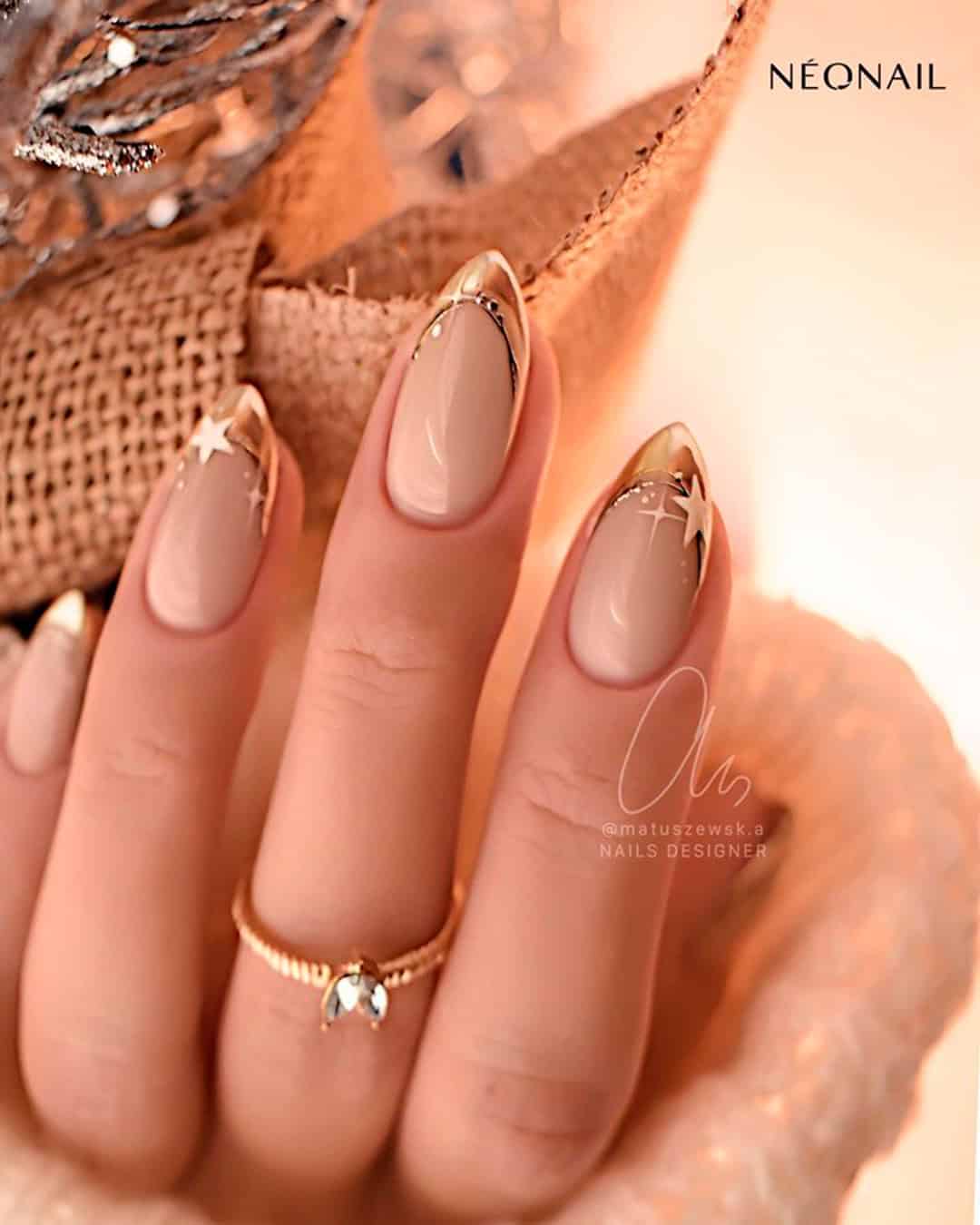 Winter French Tip Nails