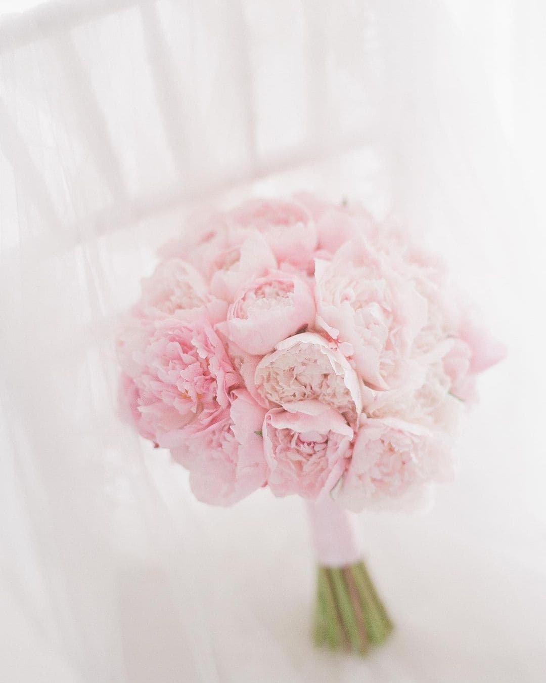 Peonies