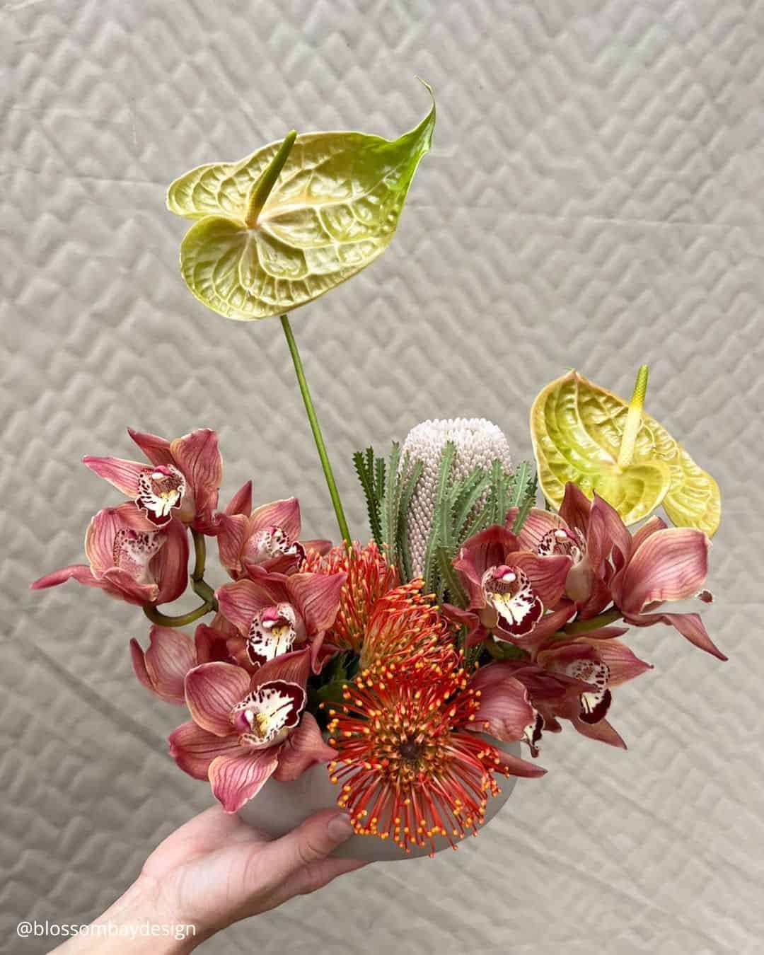 Protea