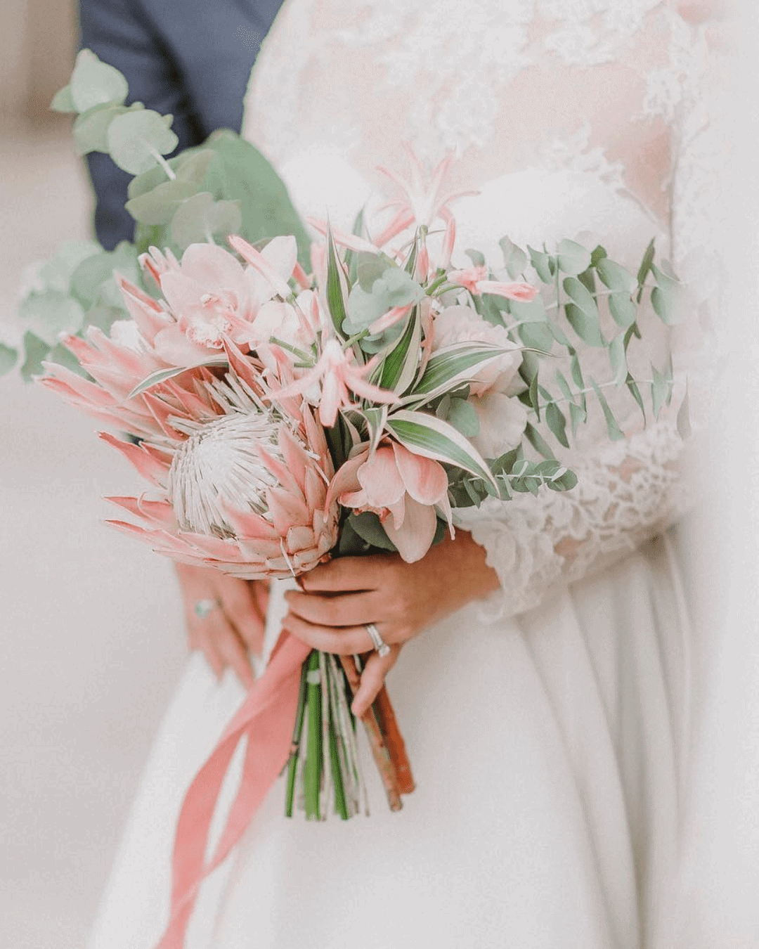 Ranunculus