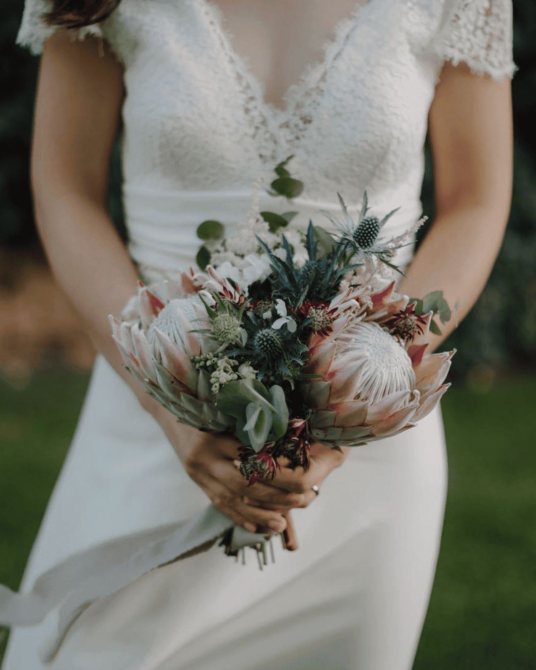 Ranunculus