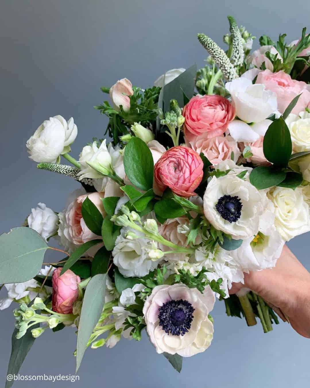 Dahlias