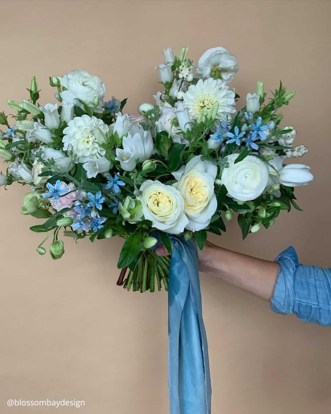 Hydrangea