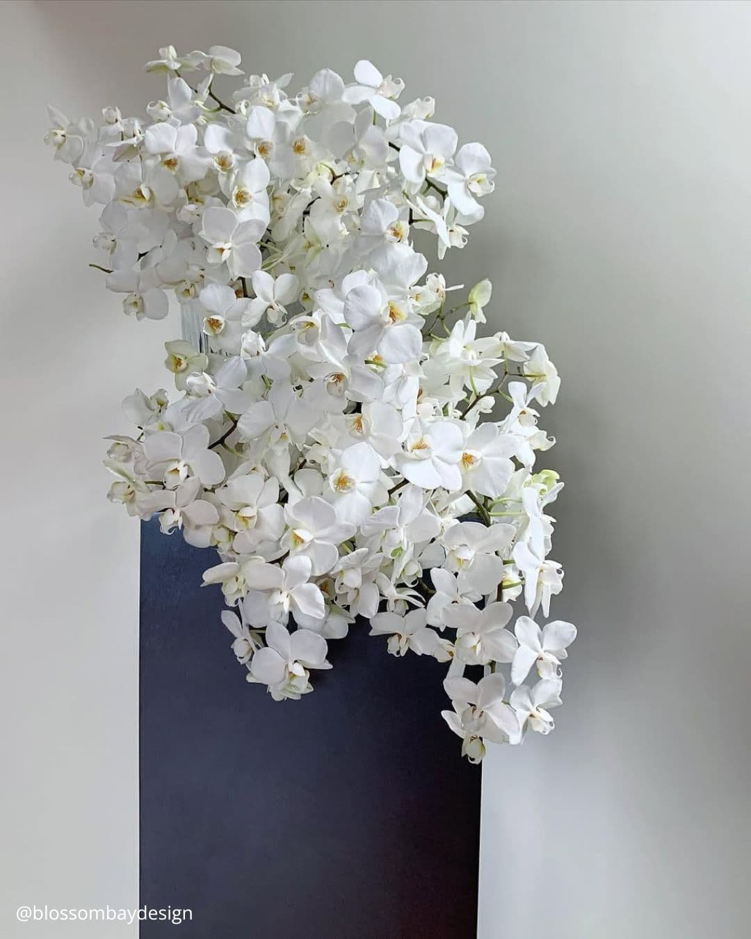 Lilas