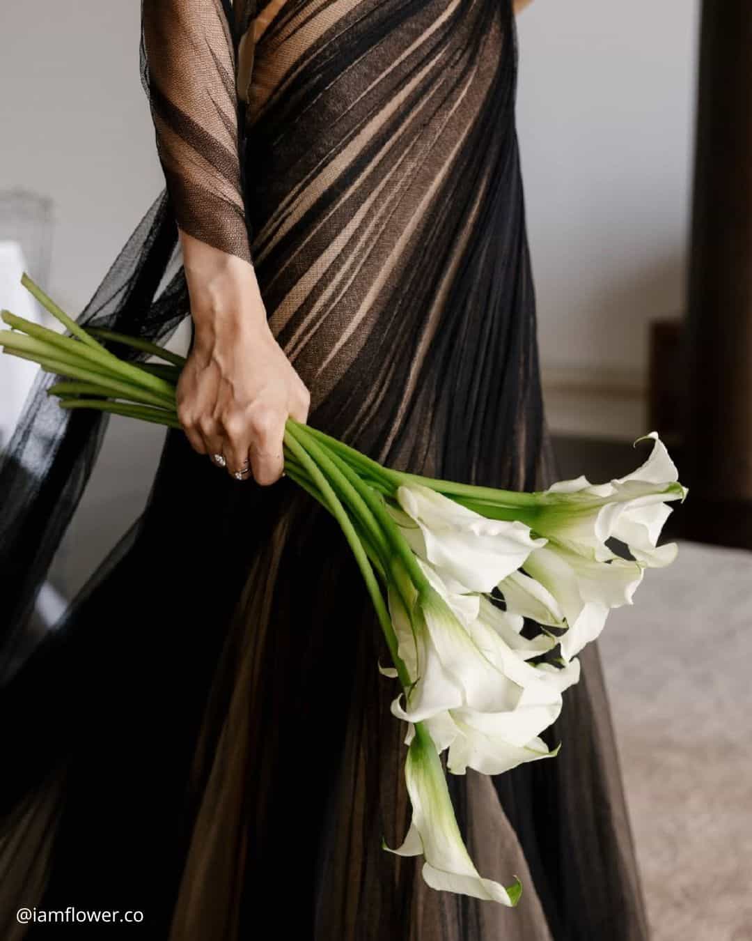 Lilly Of The Valley