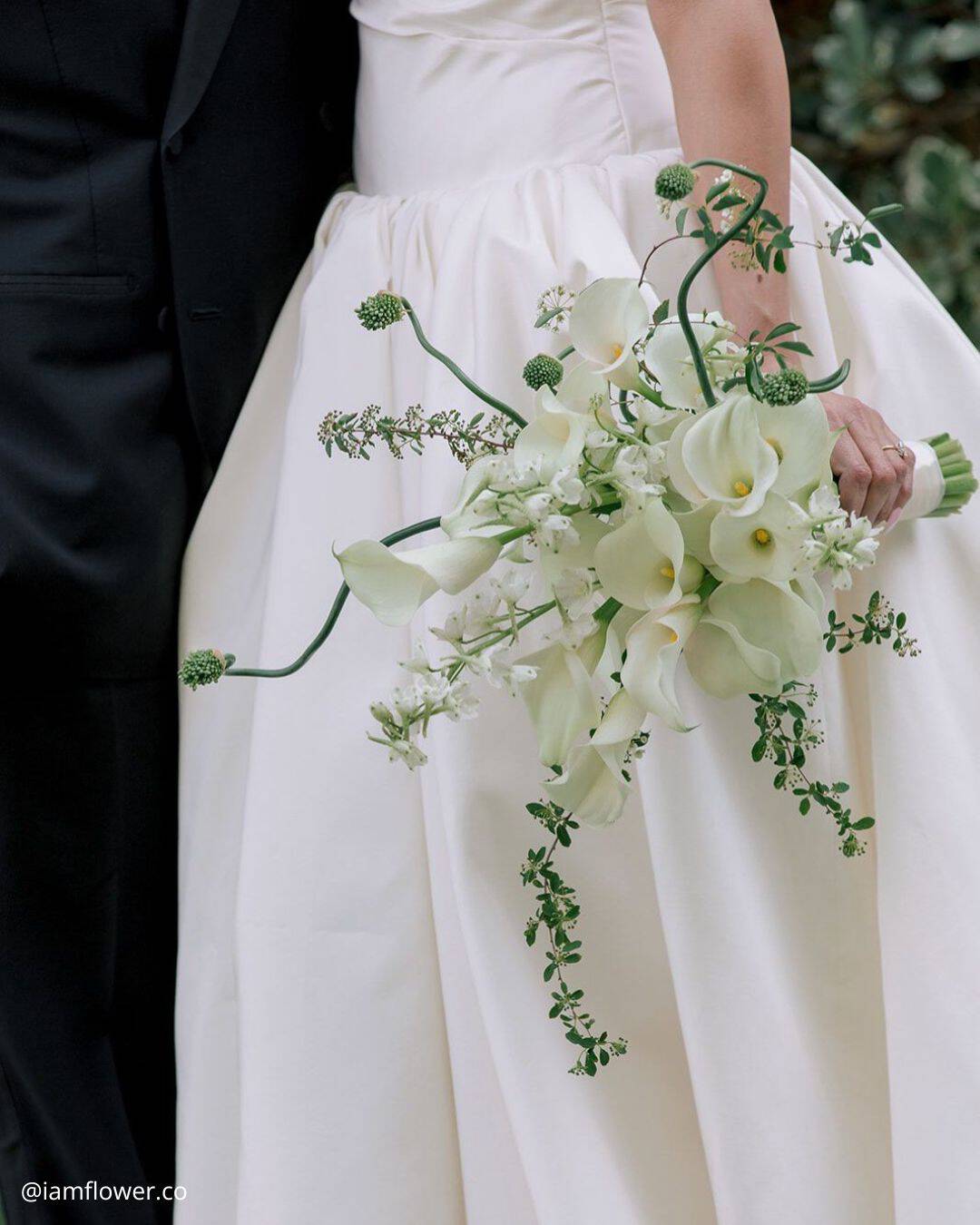Lilly Of The Valley