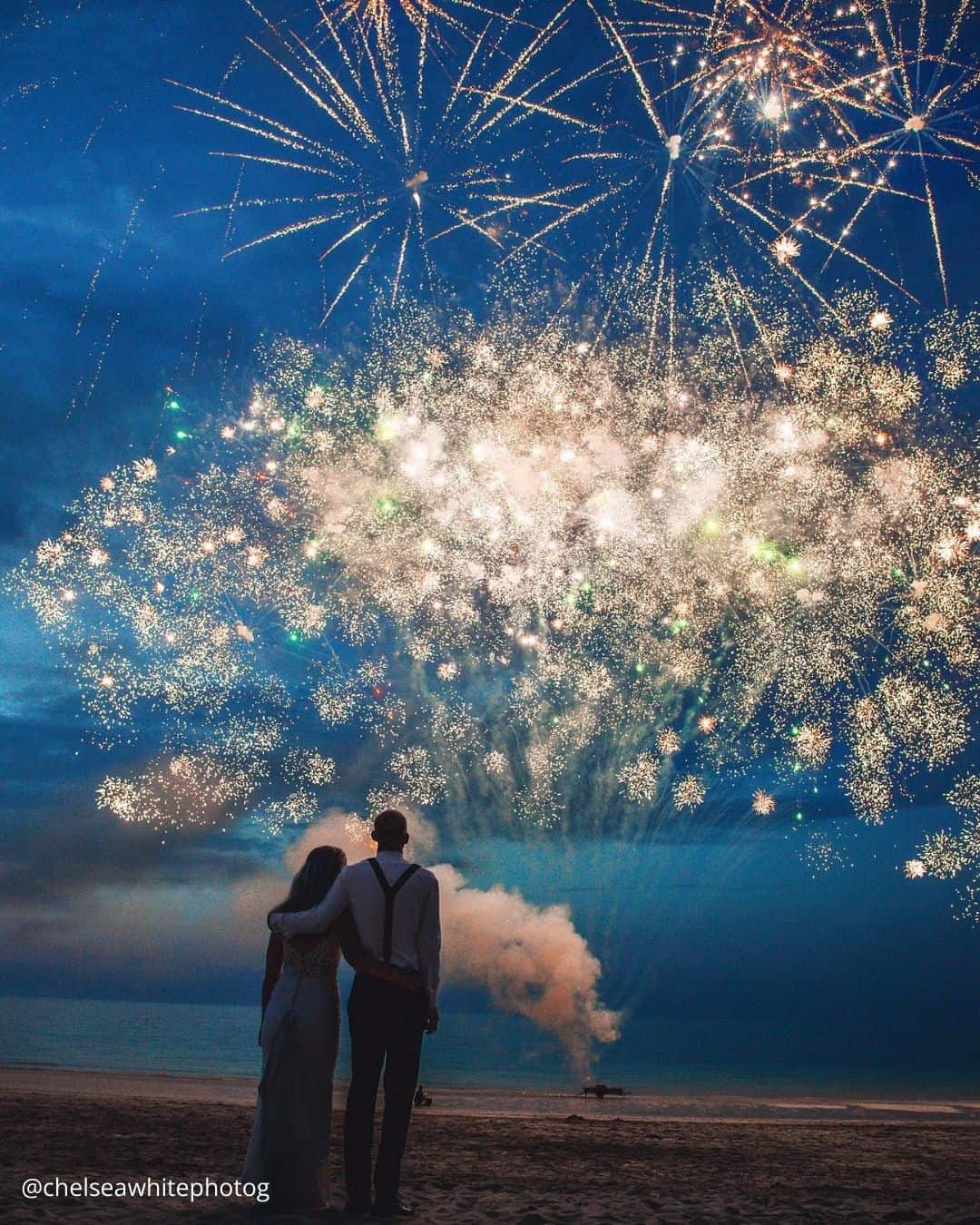 Cute Wedding Photos with Pets: Candid Moments with Furry Friends