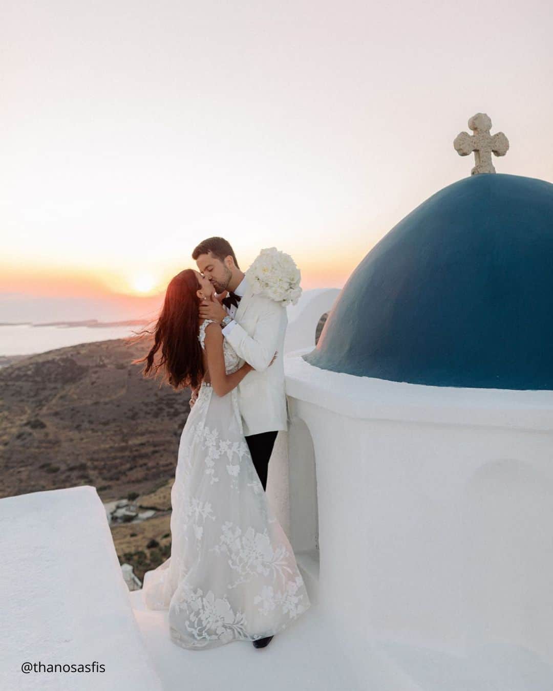 Cute Wedding Photos with Pets: Candid Moments with Furry Friends