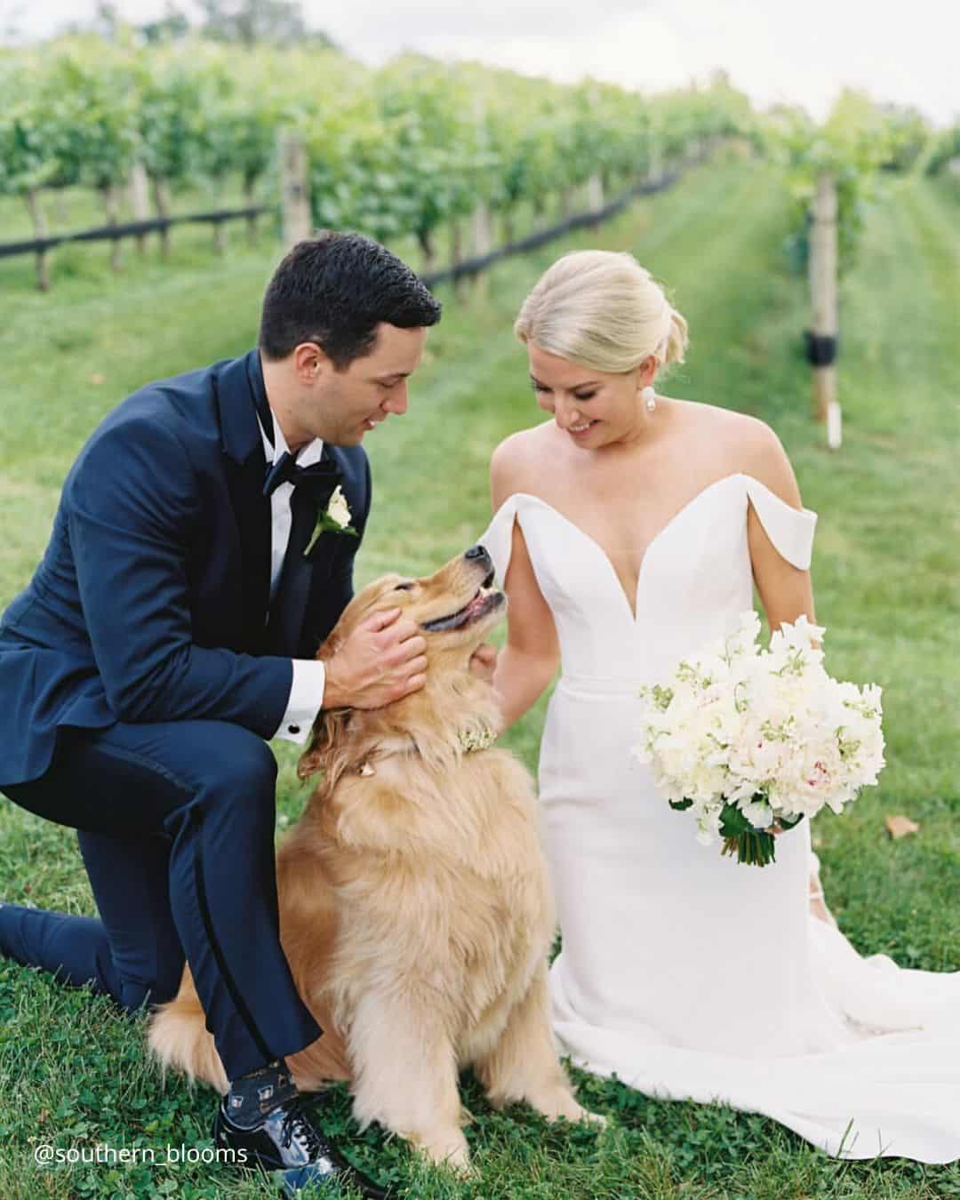 Cute Wedding Photos with Pets: Candid Moments with Furry Friends