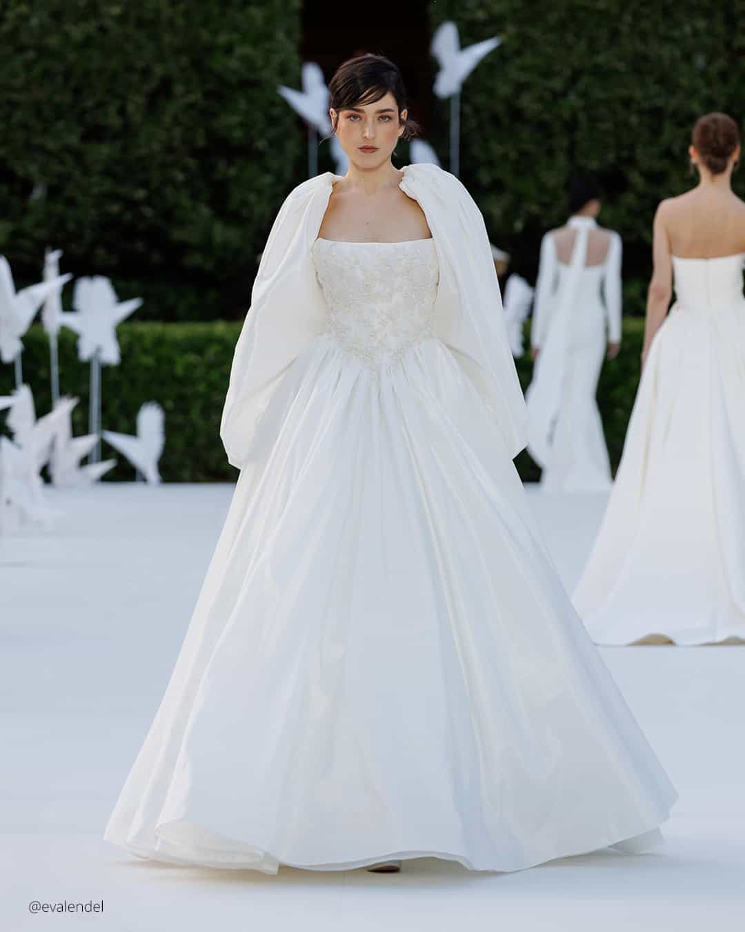 Veils & Cape Dresses