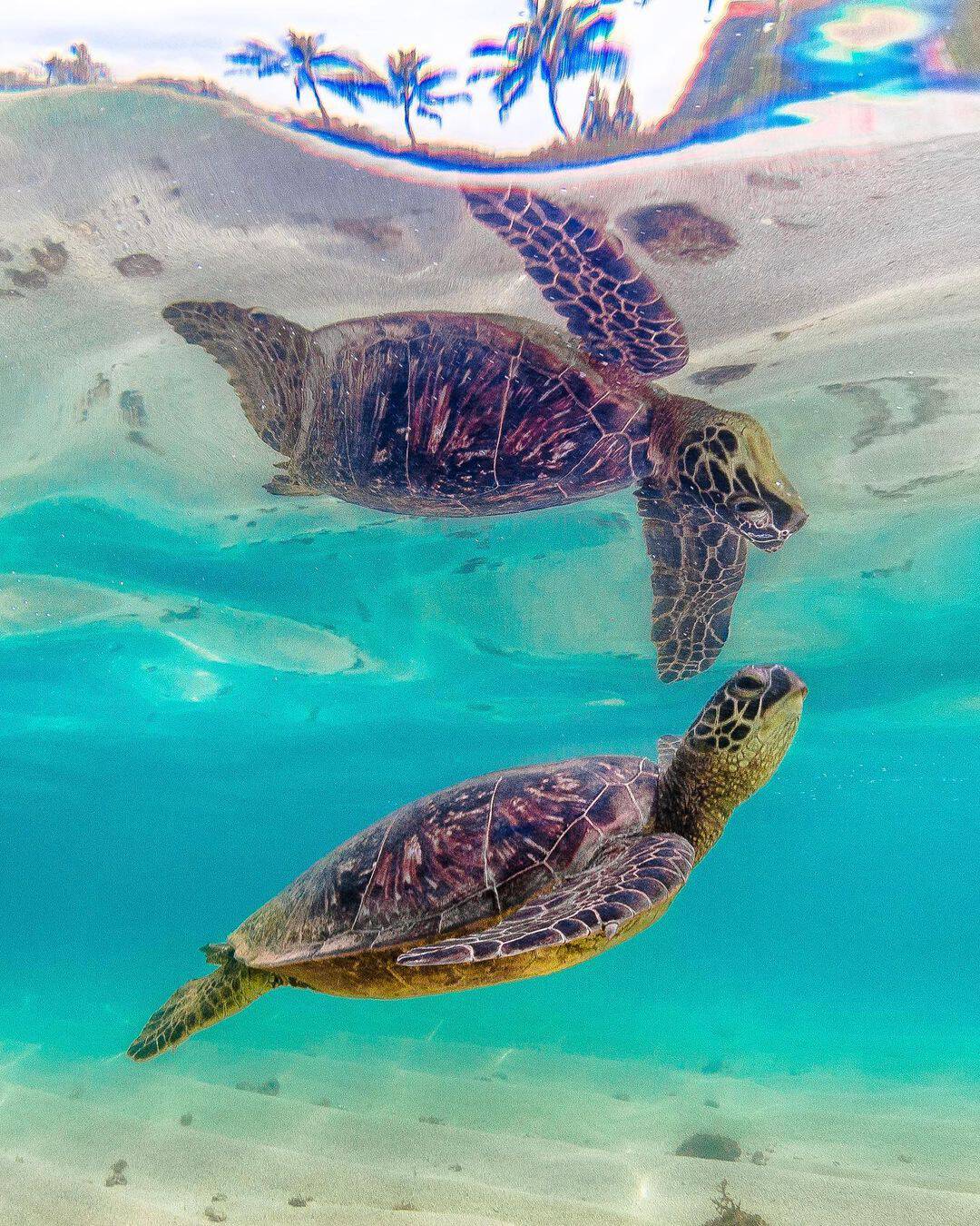 Hawaii Island (Big Island)