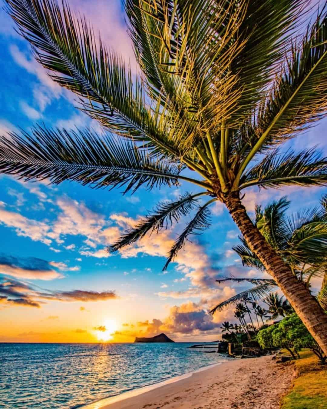 Oahu