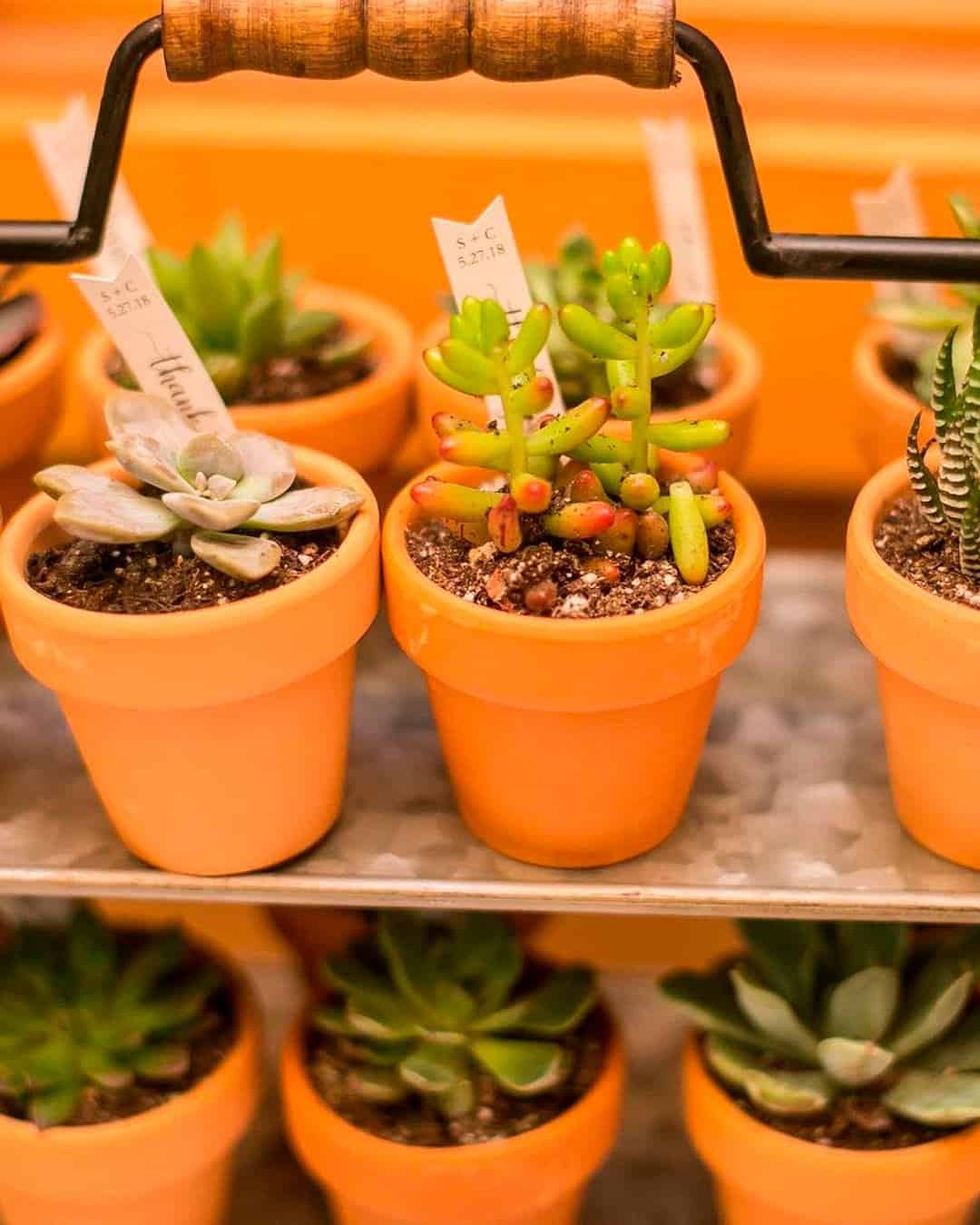 30 Wedding Ideas For Summer
