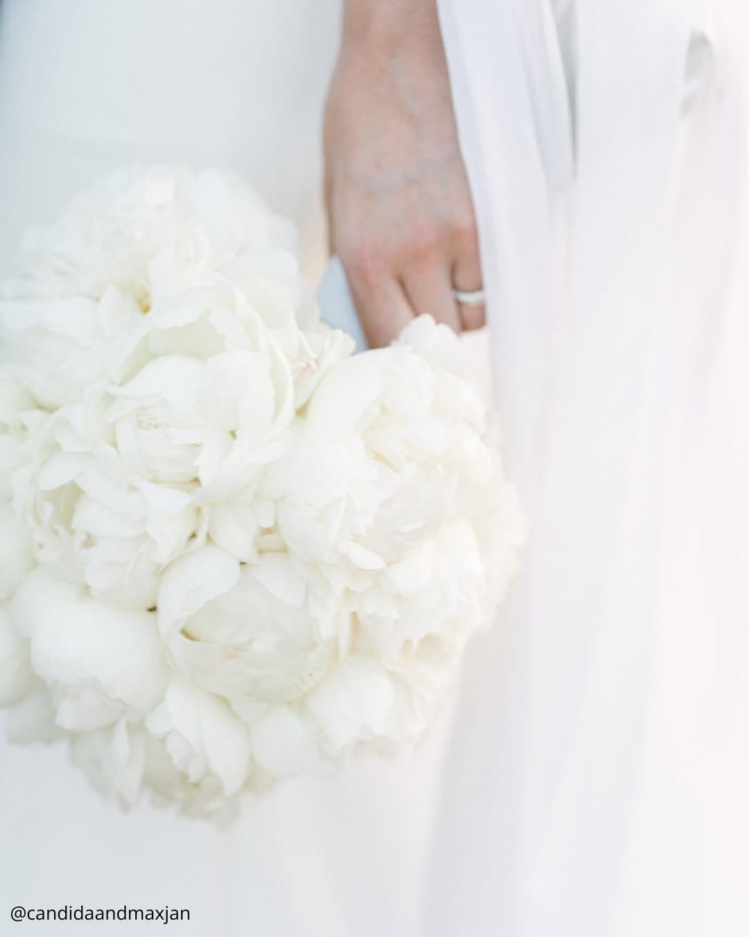 Peonies