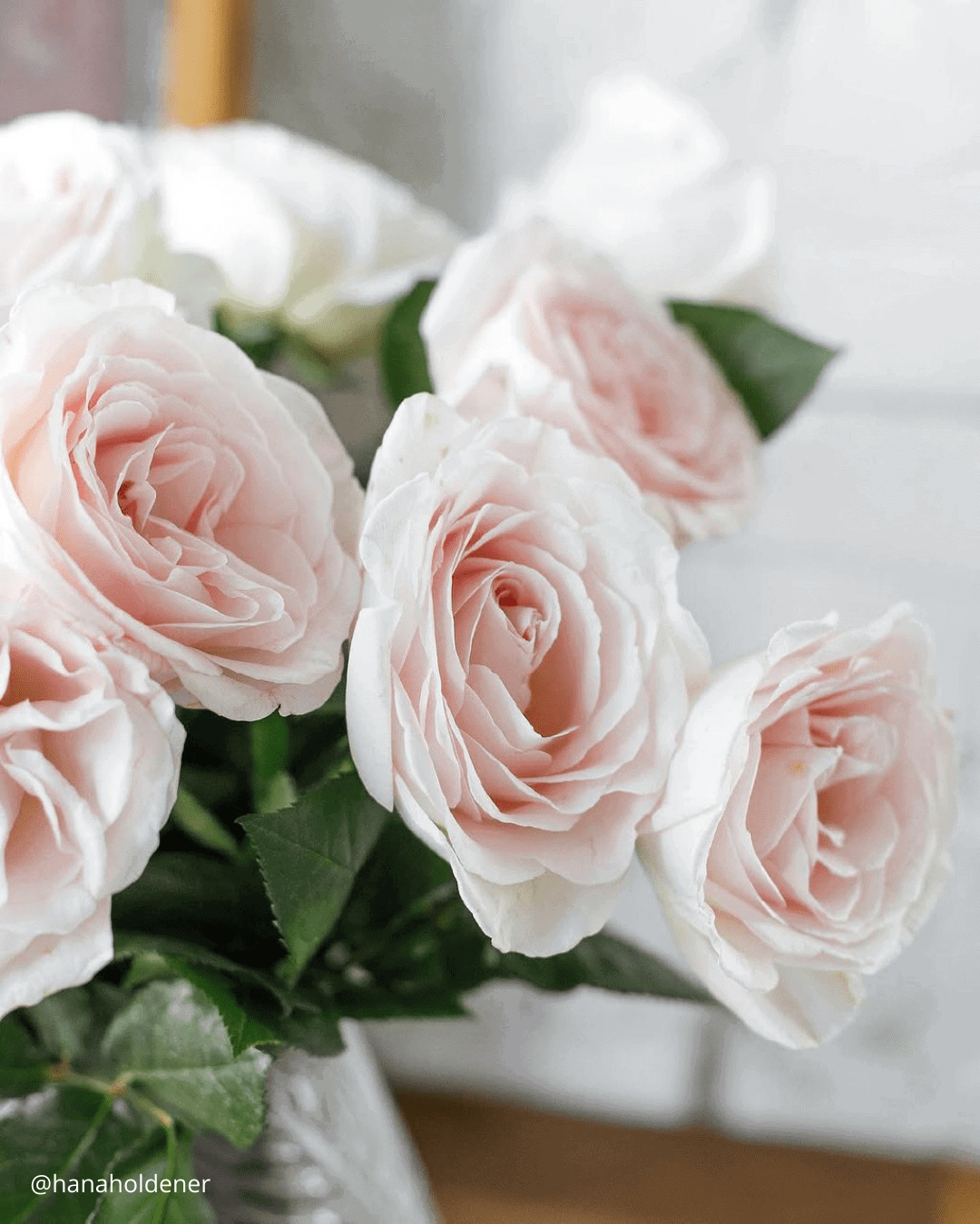 Perfect White & Crimson Bouquets