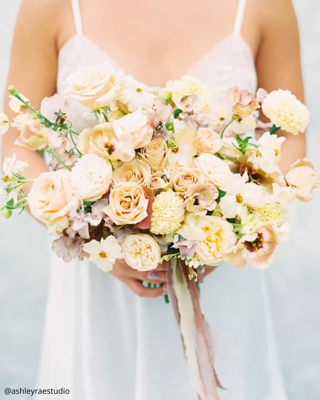 Garden Roses