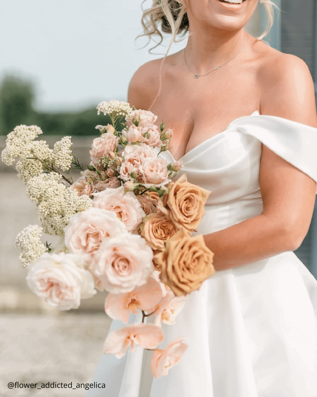 Garden Roses