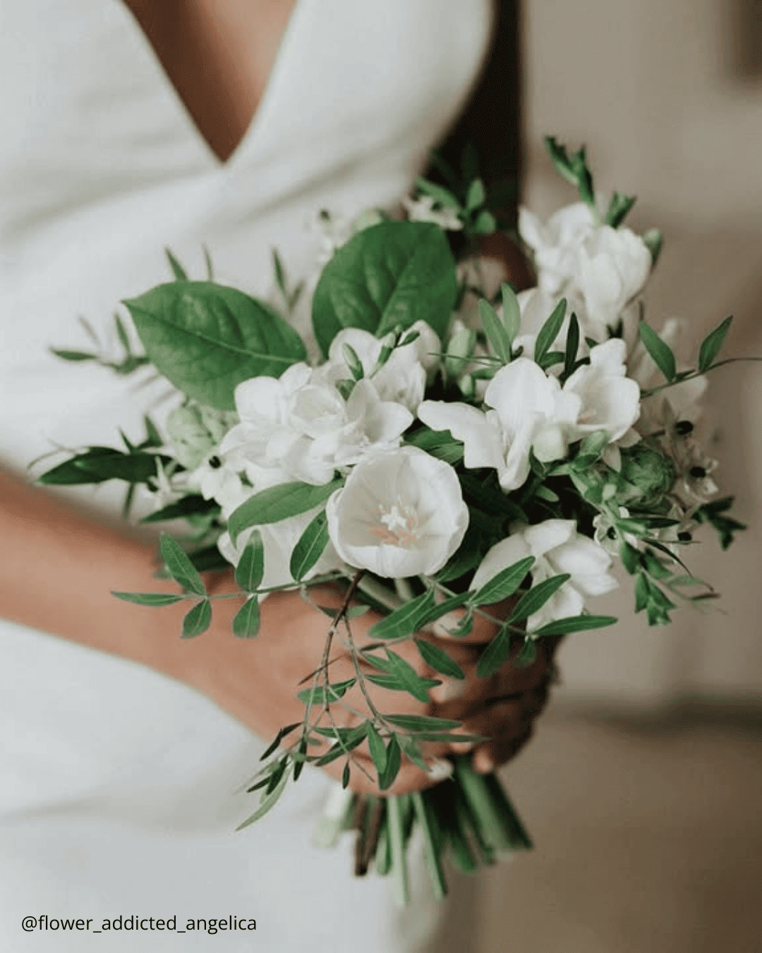 August Flowers: Golden Hour & Late Summer Charm
