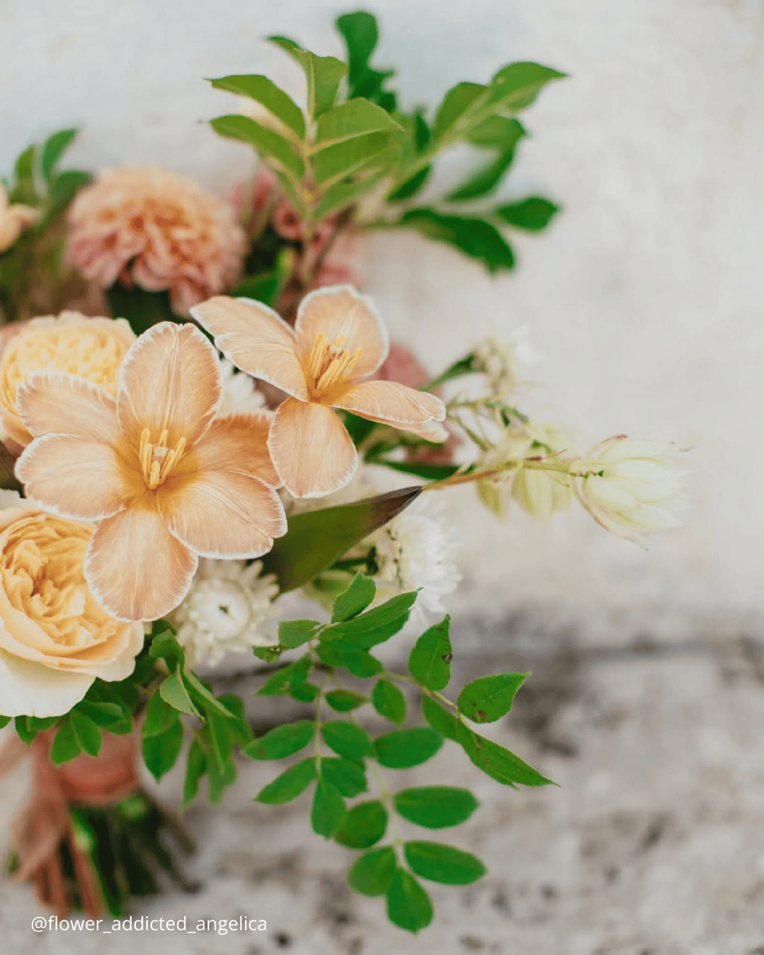 August Flowers: Golden Hour & Late Summer Charm