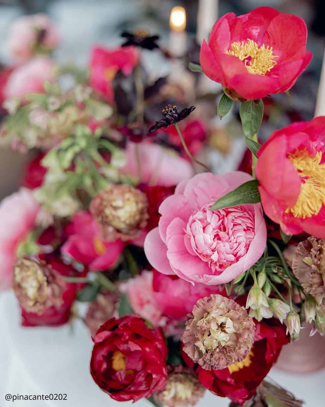 August Flowers: Golden Hour & Late Summer Charm