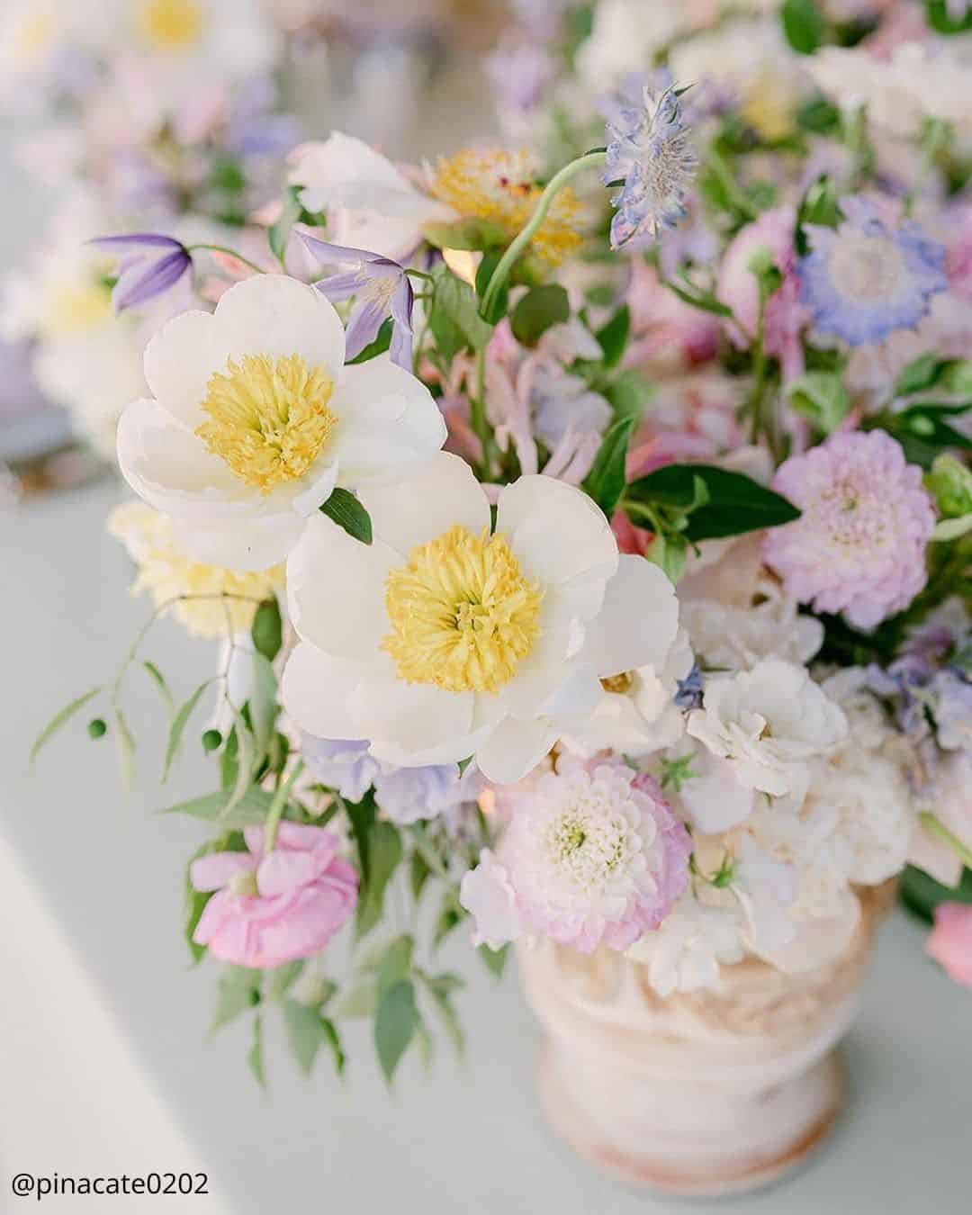 August Flowers: Golden Hour & Late Summer Charm