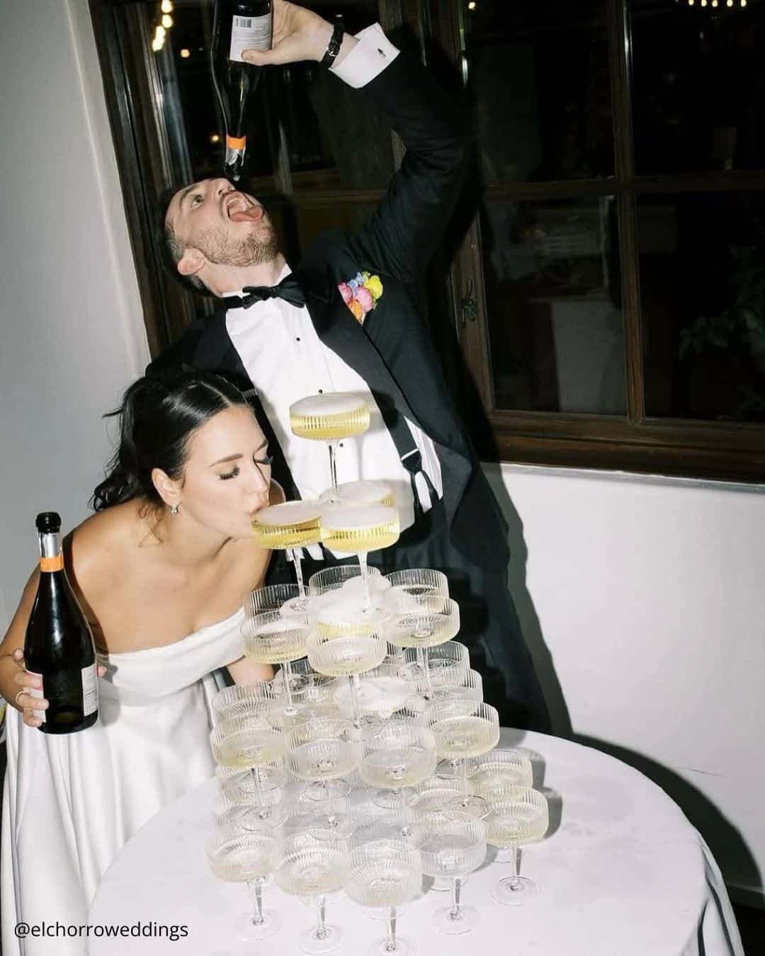 Funny Wedding Party Pictures