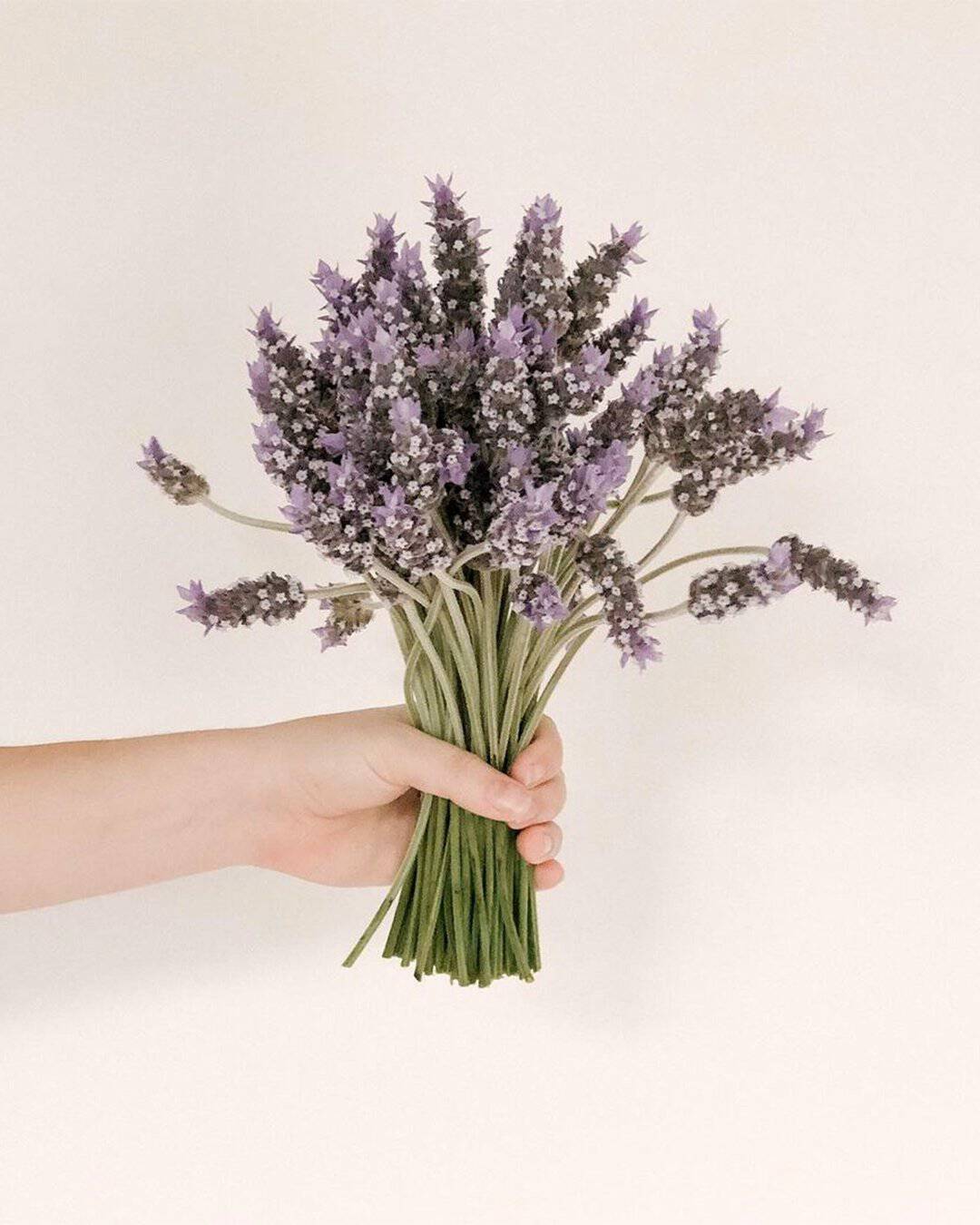 DIY Tips for Creating Wildflower Bouquets