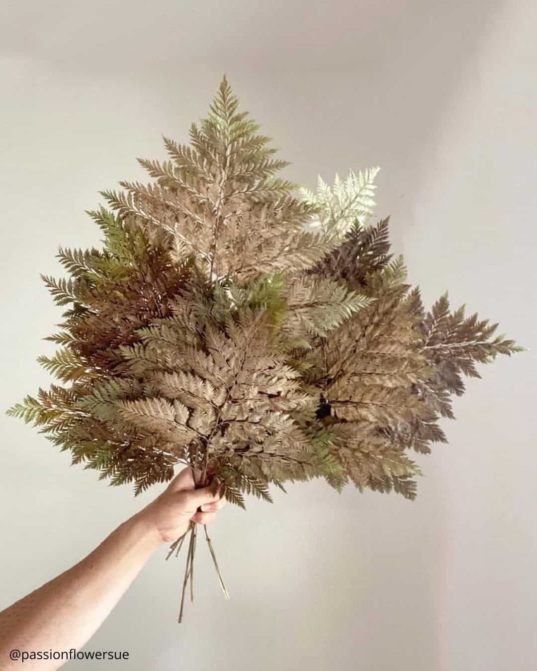 Average Wildflower Wedding Bouquet Prices