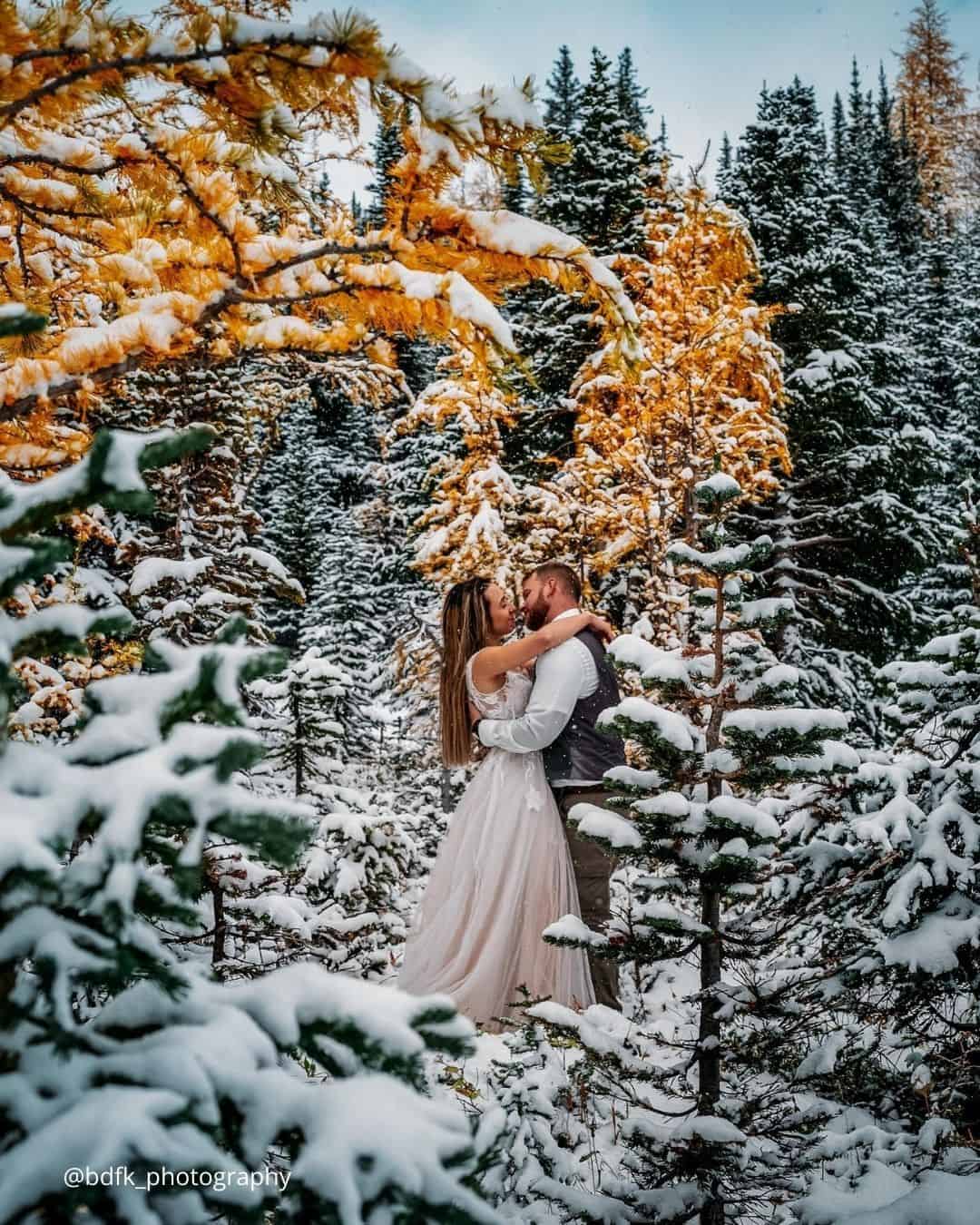 Winter Engagement Shoot With Your Dog