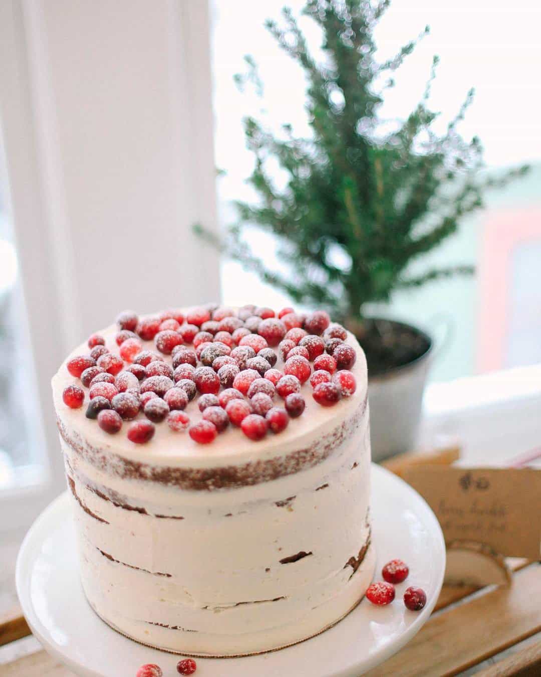 Winter Berry Cakes