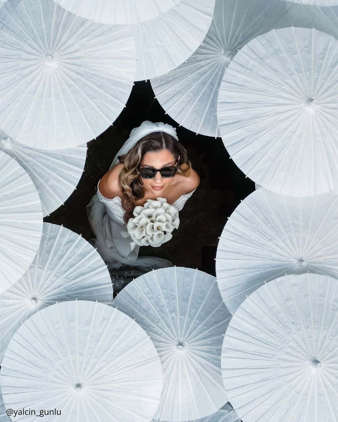 Wedding Party Photos