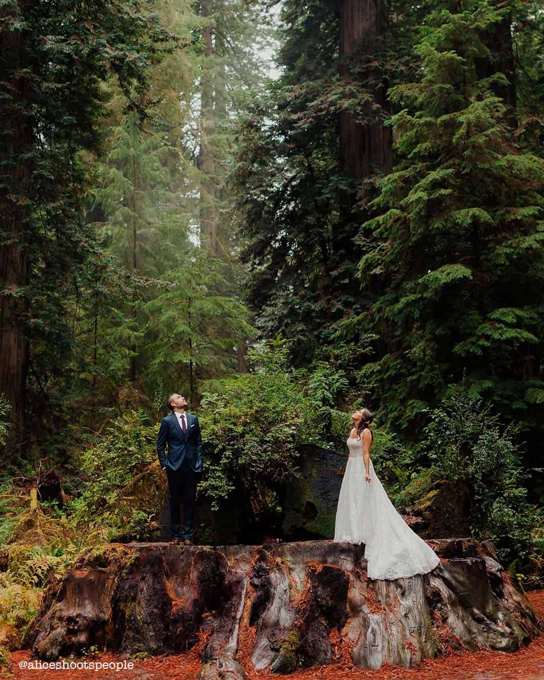 Celestial Wedding Theme