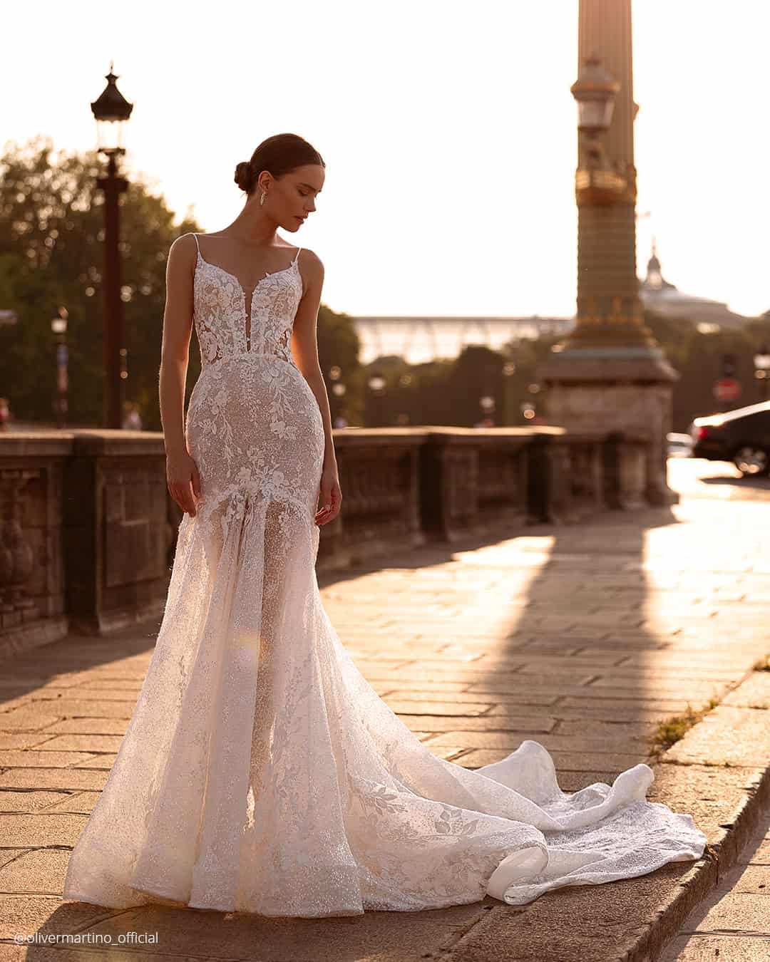 Mermaid Lace Wedding Dresses